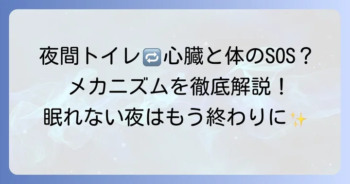 心不全で夜間多尿になるのはなぜ？そのメカニズムを解説