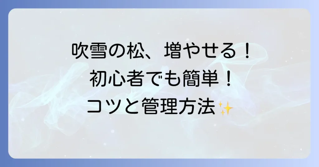 吹雪の松の増やし方徹底解説！初心者でも失敗しない増やし方のコツと管理方法