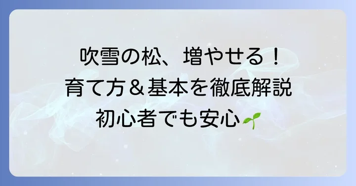 吹雪の松の魅力と増やし方の基本
