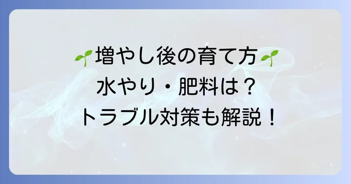 増やした後の管理と注意点