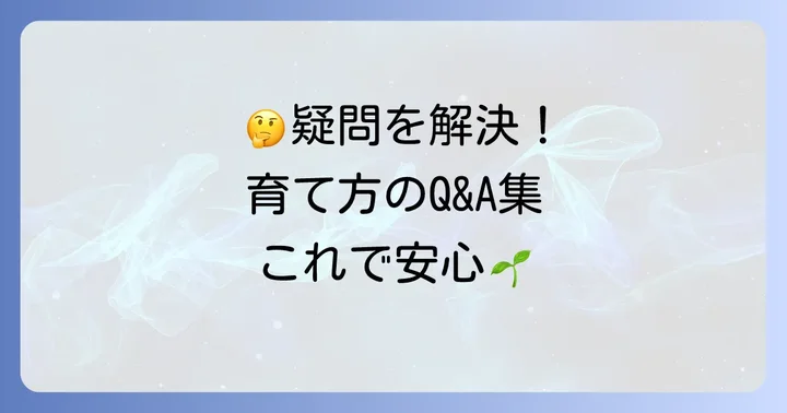 よくある質問