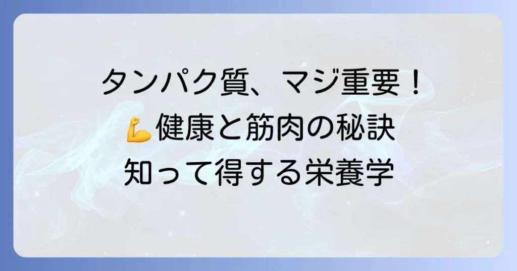 成人男性のタンパク質摂取量を徹底解説！健康と筋肉を作る最適な量と方法