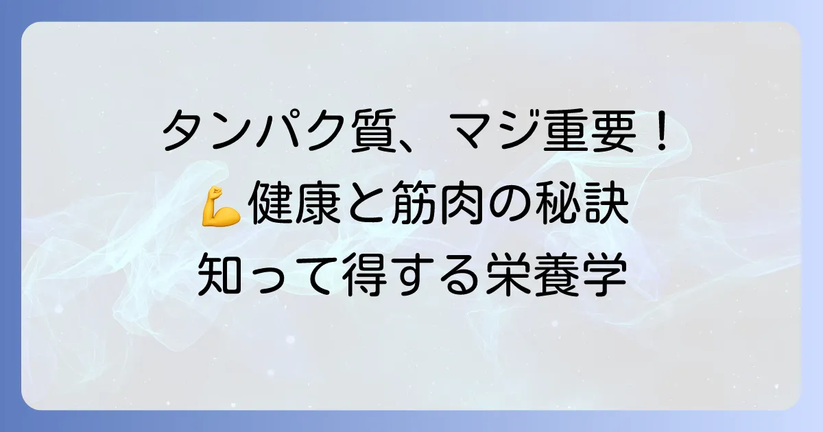 成人男性のタンパク質摂取量を徹底解説！健康と筋肉を作る最適な量と方法