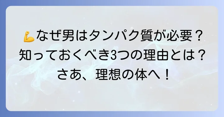 成人男性にタンパク質が欠かせない理由