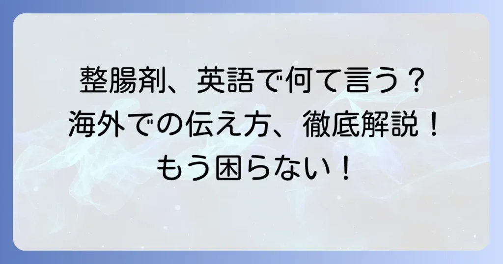 整腸剤の英語表現と海外での伝え方：徹底解説！よくある疑問も解決