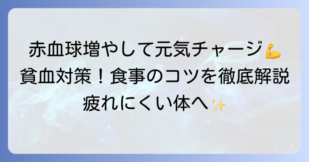 赤血球を増やす食べ物で貧血対策！効率的な食事のコツと栄養素を徹底解説