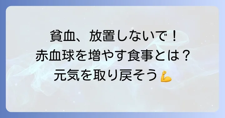赤血球を増やす食べ物の重要性と貧血の基礎知識