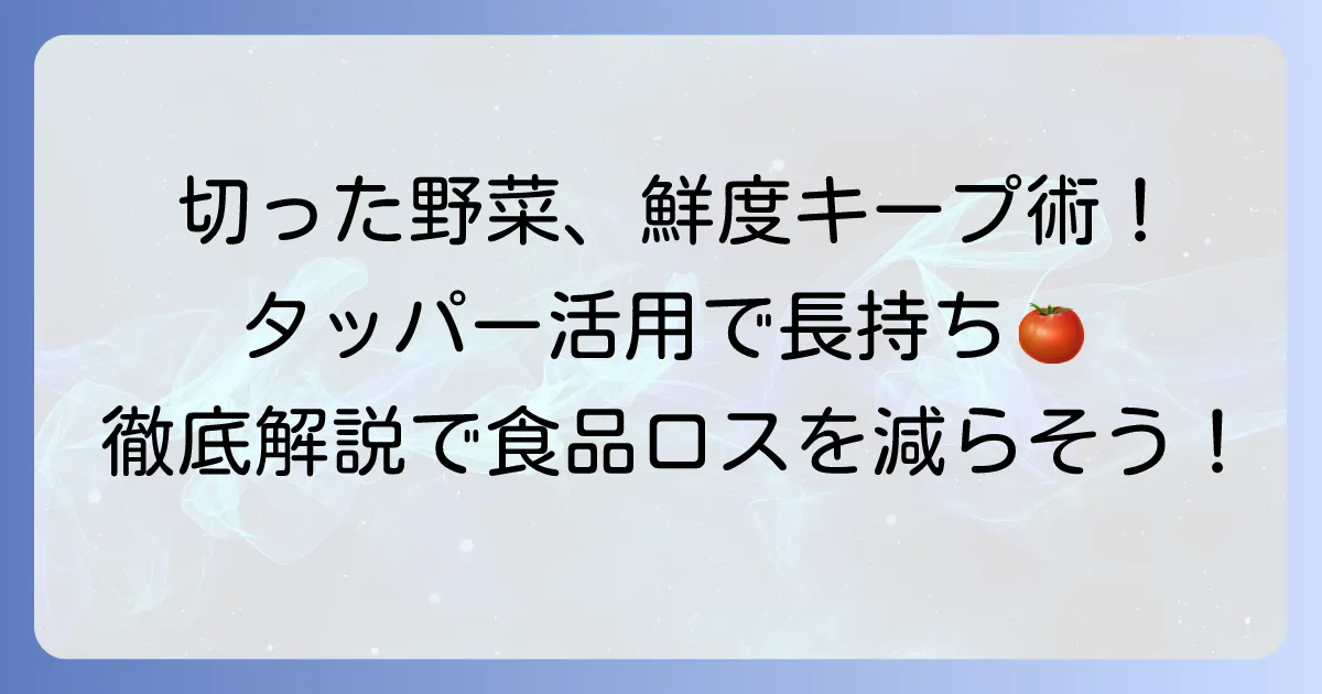 切った野菜の保存方法：タッパーで鮮度を保つコツを徹底解説