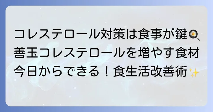 善玉コレステロールを増やす食べ物リストと効果的な栄養素