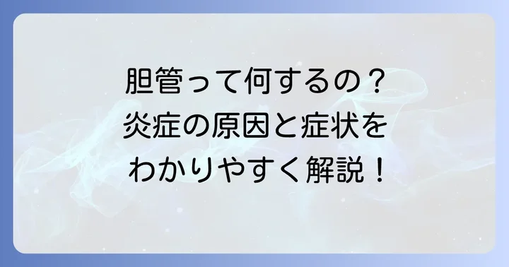 総胆管結石性胆管炎とは？胆管の役割と病気の概要
