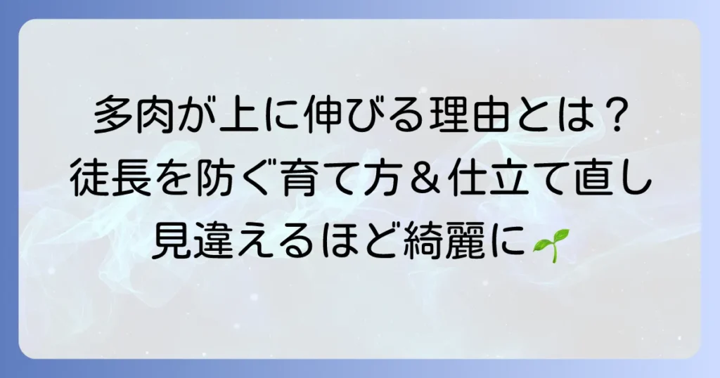 多肉植物が上に伸びる種類と徒長を防ぐ育て方・仕立て直しを徹底解説