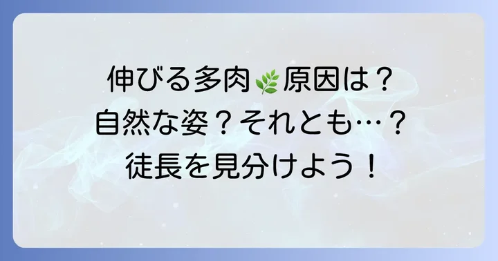 多肉植物が上に伸びる理由｜自然な成長と徒長の違い