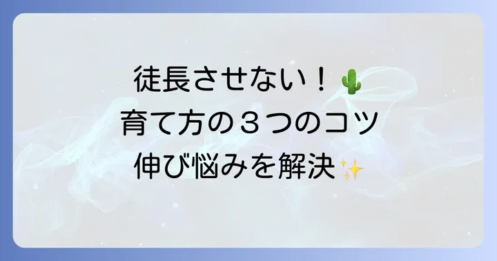 多肉植物の徒長を防ぐ育て方｜上に伸びないための管理方法