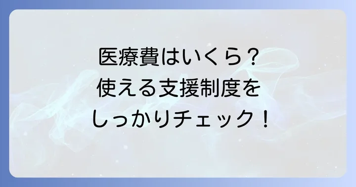 多発性筋炎の医療費と利用できる支援制度