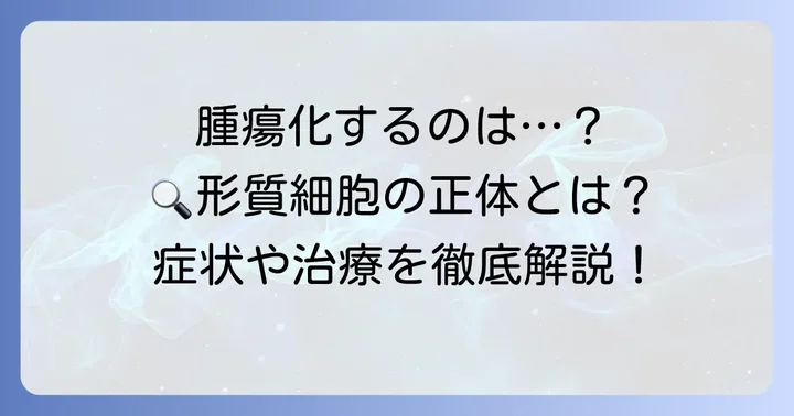 多発性骨髄腫で腫瘍化するのは「形質細胞」です