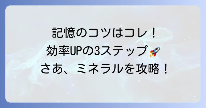 多量ミネラルを効率的に覚えるための基本戦略