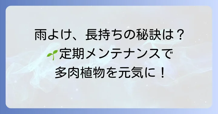 雨よけ設置後の管理と長持ちさせるコツ