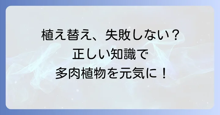 多肉植物の植え替えで失敗しないための正しい知識
