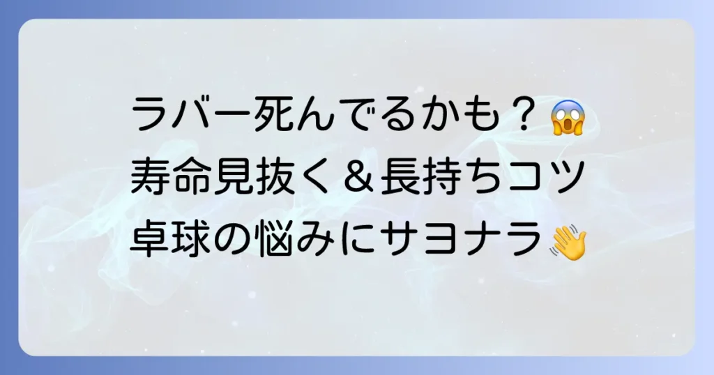卓球の死んだラバーのサインを見逃すな！寿命を延ばす手入れのコツ