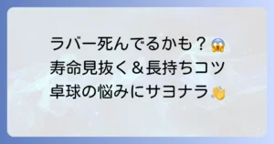 卓球の死んだラバーのサインを見逃すな！寿命を延ばす手入れのコツ