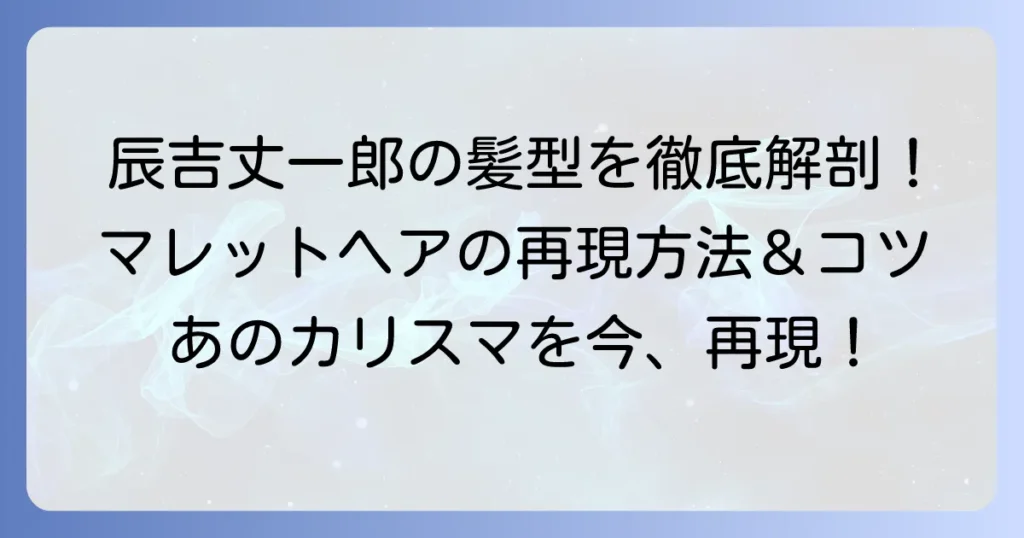 辰吉丈一郎の髪型を徹底解説！時代を超えて愛されるマレットヘアの魅力と再現方法