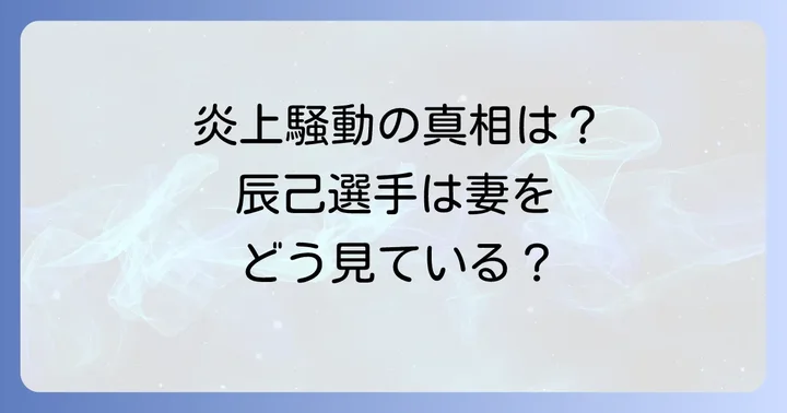 世間の反応と辰己涼介選手の対応