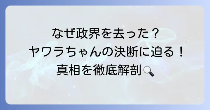 谷亮子議員引退理由の真相に迫る