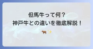 担馬牛は「但馬牛」のこと？その歴史と特徴、三大和牛との関係を徹底解説