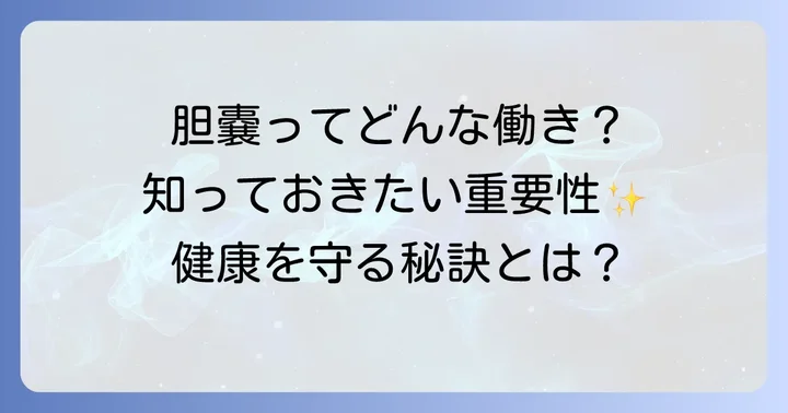 胆嚢の働きと健康を保つ重要性
