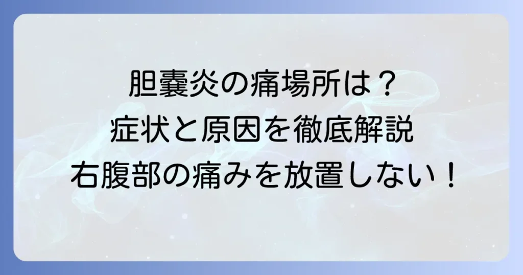 胆嚢炎の痛む場所はどこ？症状と原因、対処法を徹底解説