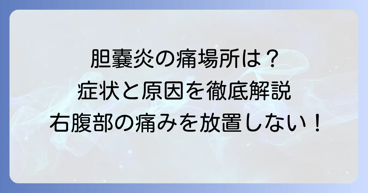 胆嚢炎の痛む場所はどこ？症状と原因、対処法を徹底解説