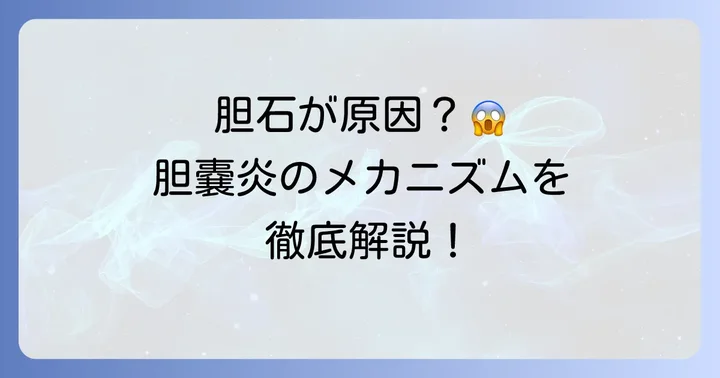 胆嚢炎の主な原因と発症のメカニズム