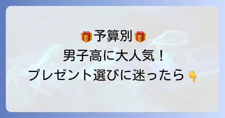 【予算別】男子高校生に人気の誕生日プレゼントアイデア集