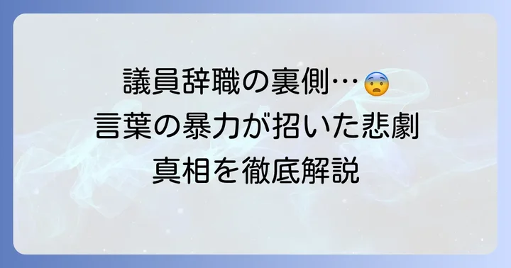 議員辞職に至った経緯と誹謗中傷の問題