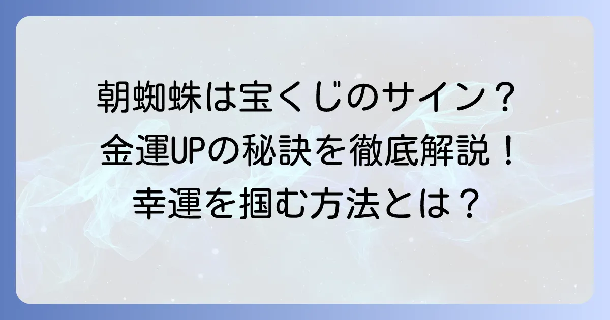 朝蜘蛛が宝くじ当選を呼ぶ？幸運のサインと金運アップのコツ