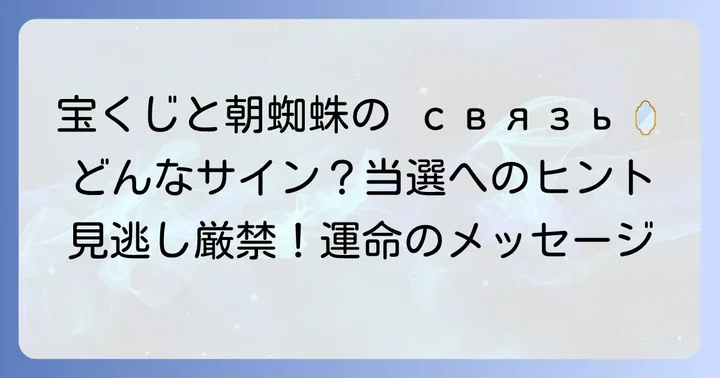 宝くじ当選に繋がる？蜘蛛の出現状況とメッセージ