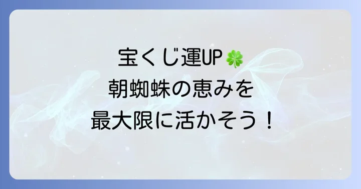 朝蜘蛛の幸運を活かす！宝くじ運を高める行動