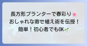 長方形プランターでの春の寄せ植え成功術！おしゃれな植物選びと作り方