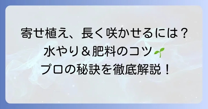 長方形プランター寄せ植えを長く楽しむためのお手入れ方法