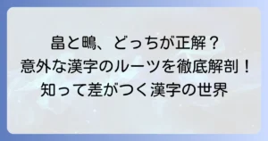 「田へんに鳥」の漢字「畠」と「鴫」を徹底解説！意味・読み方・由来・書き方を網羅