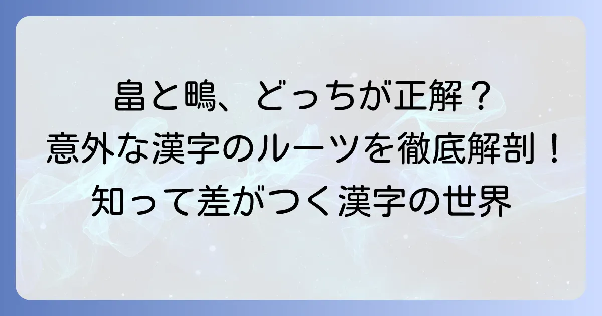 「田へんに鳥」の漢字「畠」と「鴫」を徹底解説！意味・読み方・由来・書き方を網羅