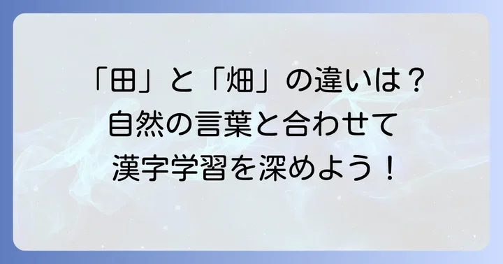 「田」と似ている漢字や関連する言葉