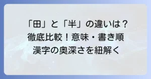 「田」と「半」の漢字を徹底比較！意味、成り立ち、書き順の全て