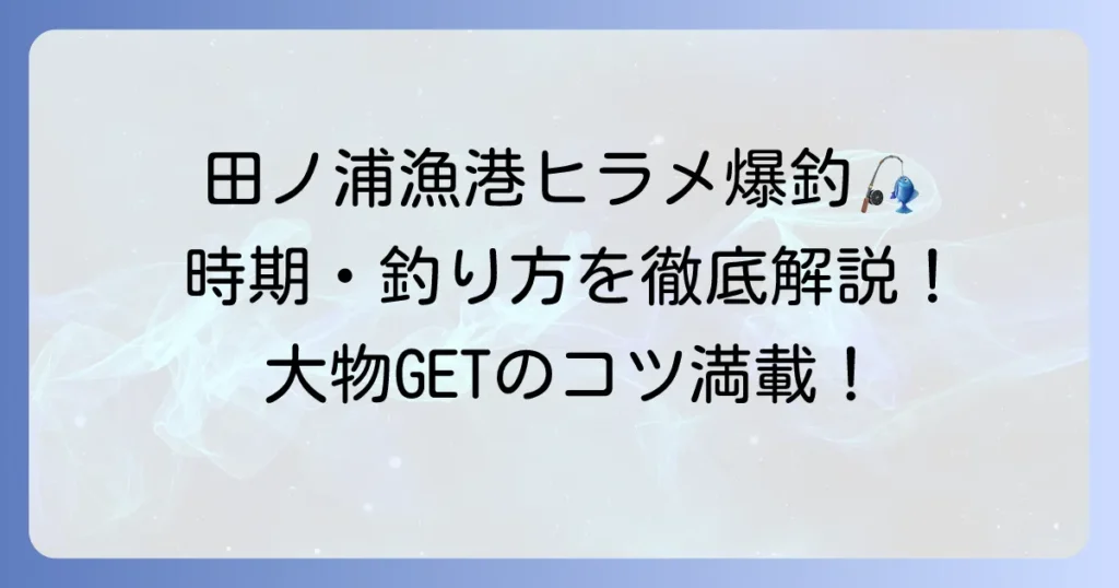 田ノ浦漁港のヒラメポイントを徹底解説！釣れる時期と釣り方で大物を狙うコツ