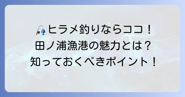 田ノ浦漁港でヒラメを狙う魅力とは？