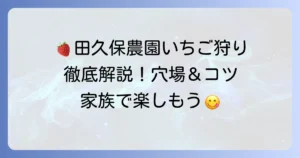 田久保農園のいちご狩りを徹底解説！旬の味覚とアクセス方法、予約のコツ