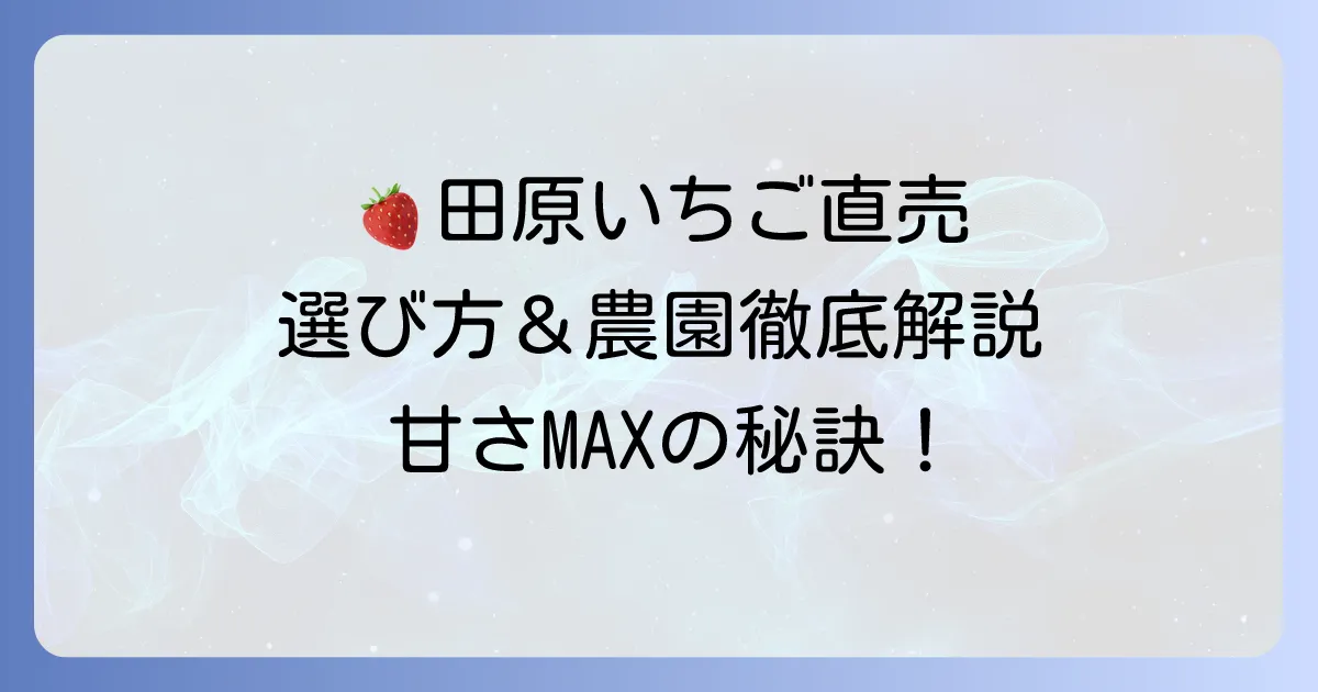 田原いちご直売で絶品いちごを!選び方からおすすめ農園まで徹底解説
