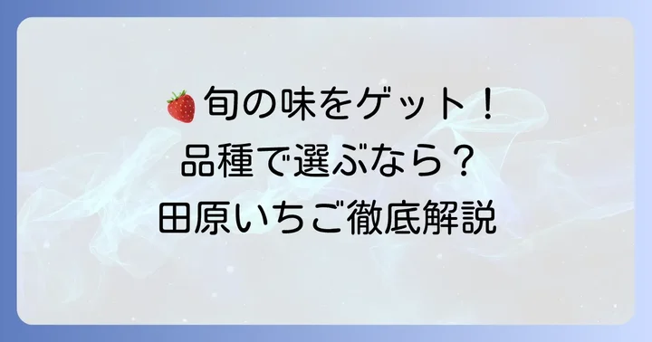 田原いちごの旬と主要品種を知ろう