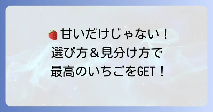 失敗しない!田原いちご直売所での選び方と見分け方