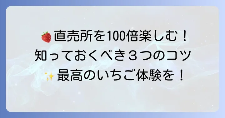 田原いちご直売を最大限に楽しむためのコツ